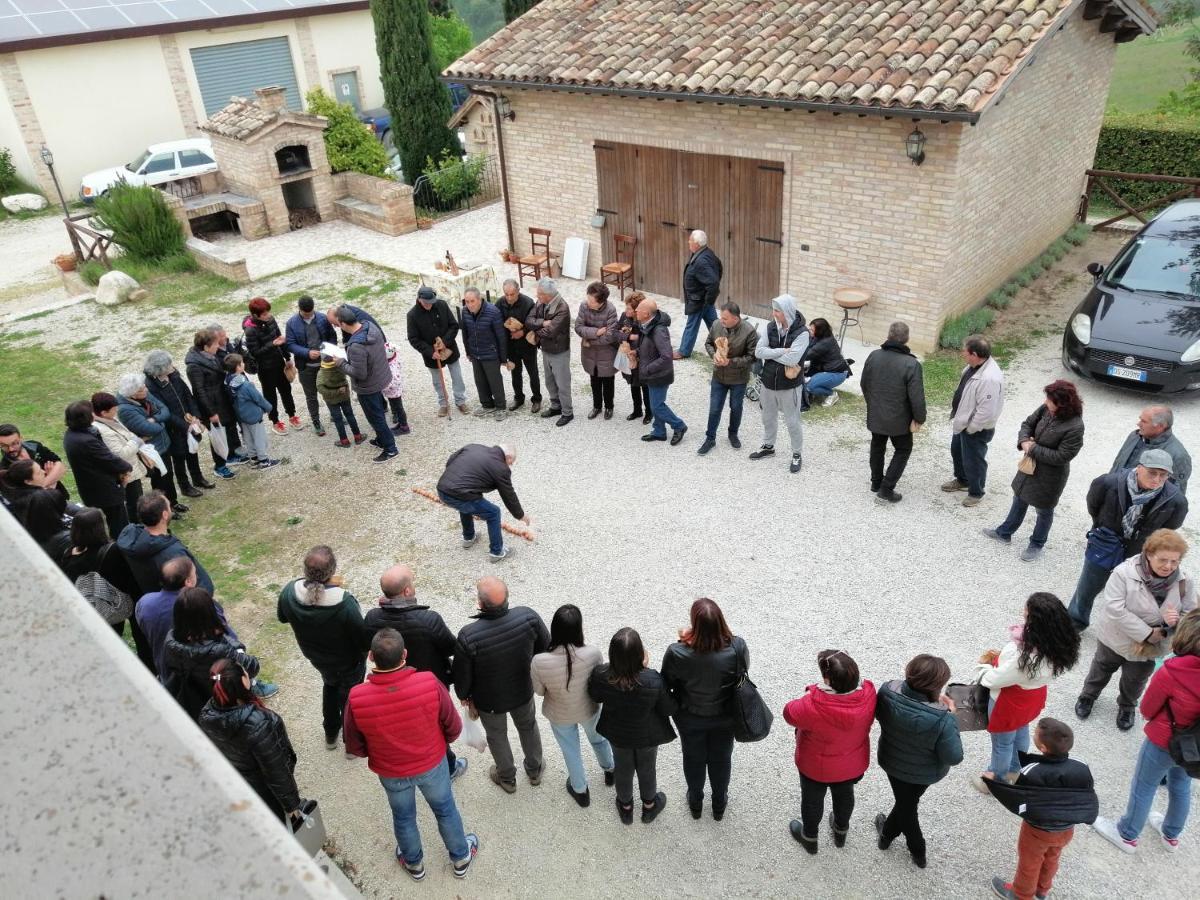 Agriturismo Alla Solagna Colli del Tronto Dış mekan fotoğraf